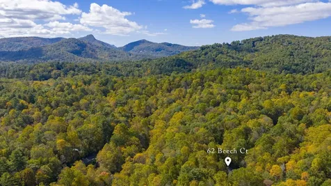 62 Beech Court Sapphire NC 28774