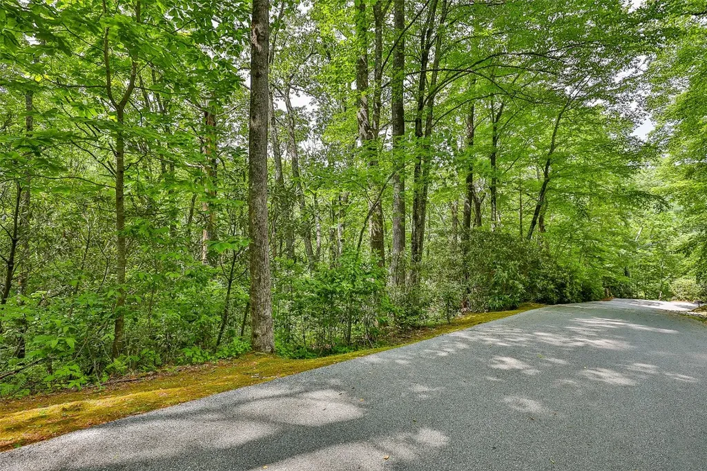 43 Rochester Drive Cashiers NC 28717