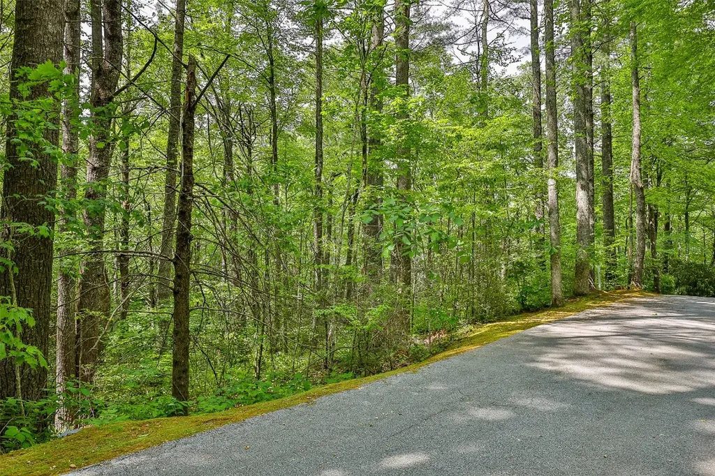 43 Rochester Drive Cashiers NC 28717