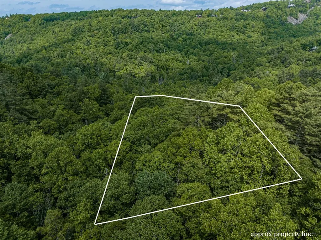 43 Rochester Drive Cashiers NC 28717