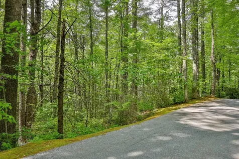 43 Rochester Drive Cashiers NC 28717