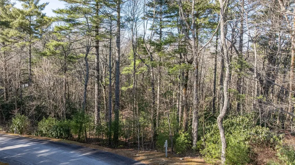 38 Loblolly Lane Cashiers NC 28717