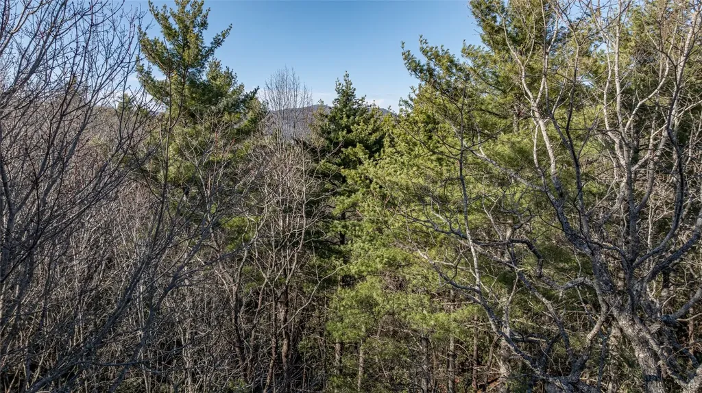 38 Loblolly Lane Cashiers NC 28717