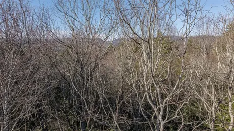 38 Loblolly Lane Cashiers NC 28717