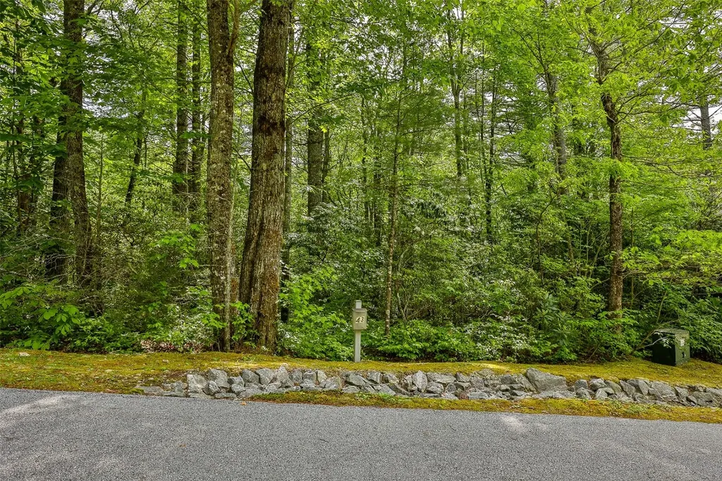 43 Ledgeview Road Cashiers NC 28717