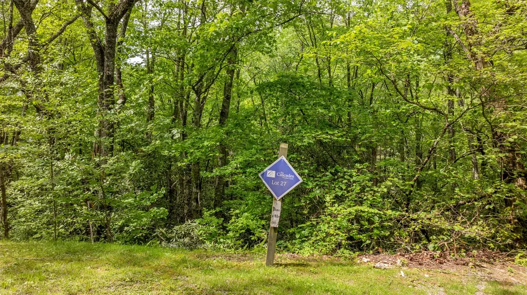 27 Receptive Drive Glenville NC 28736