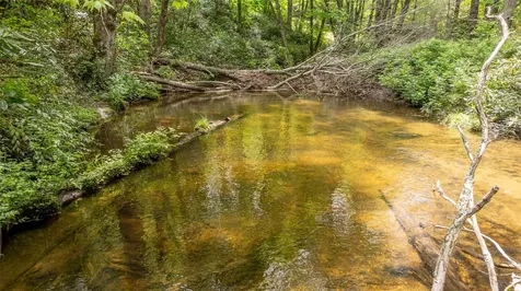 27 Receptive Drive Glenville NC 28736