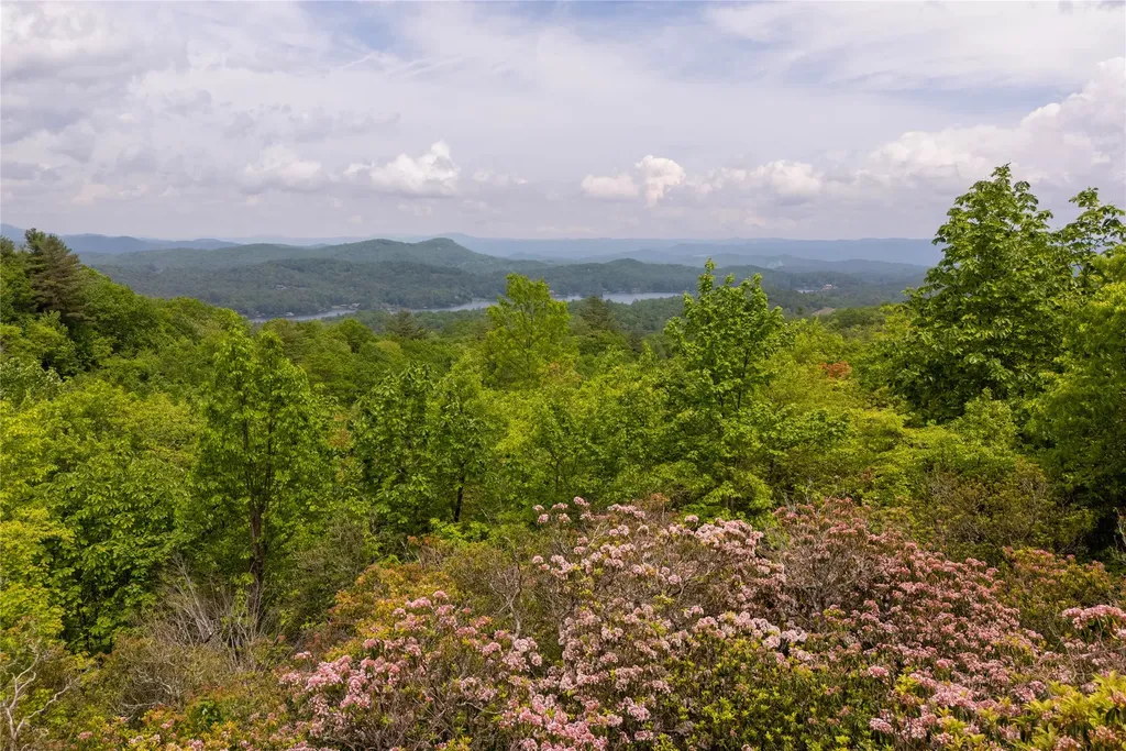 865 Toxaway Drive Lake Toxaway NC 28747