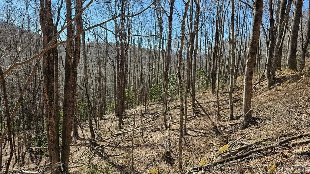 None Highland Gap Road Scaly Mountain NC 28775