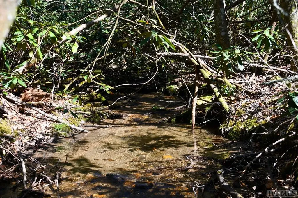 None Highland Gap Road Scaly Mountain NC 28775