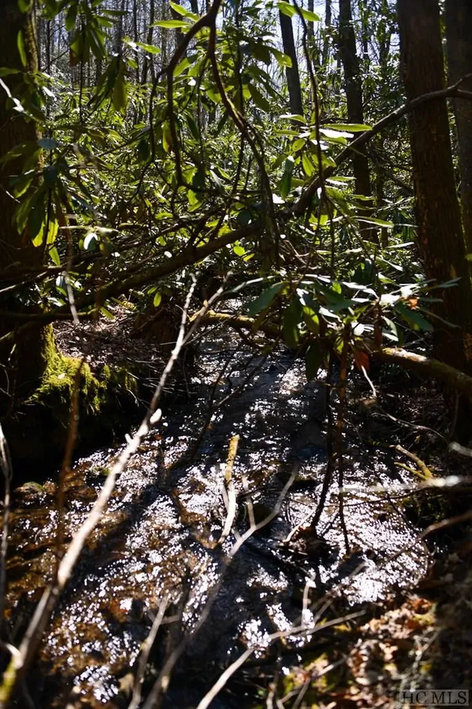 None Highland Gap Road Scaly Mountain NC 28775