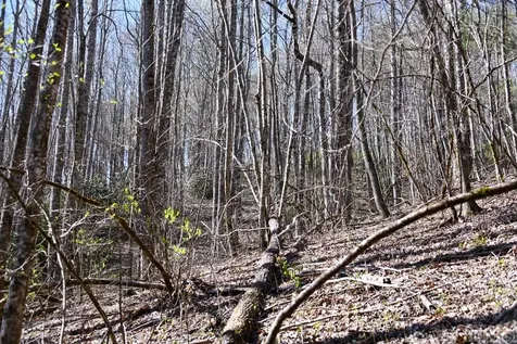 None Highland Gap Road Scaly Mountain NC 28775