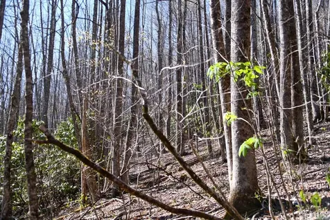 None Highland Gap Road Scaly Mountain NC 28775