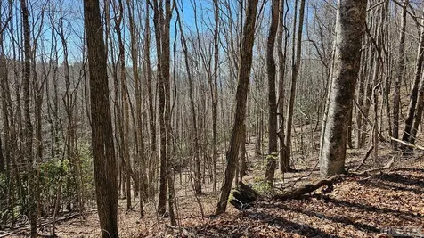 None Highland Gap Road Scaly Mountain NC 28775