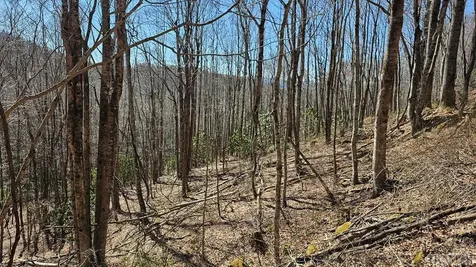 None Highland Gap Road Scaly Mountain NC 28775