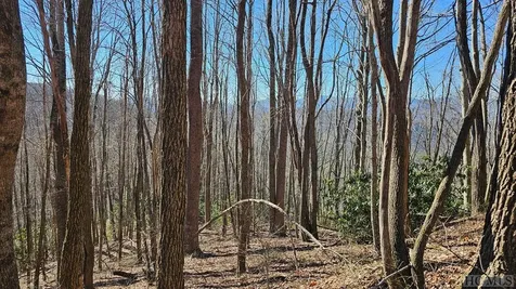 None Highland Gap Road Scaly Mountain NC 28775