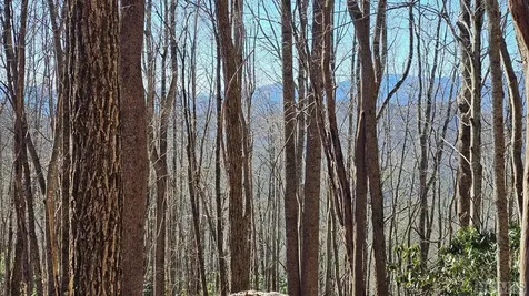 None Highland Gap Road Scaly Mountain NC 28775
