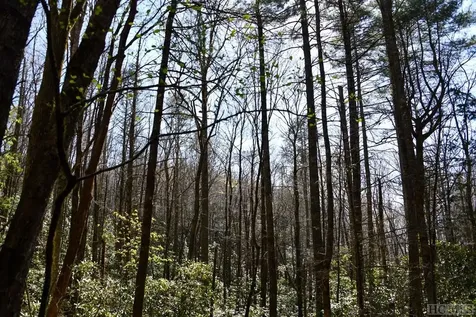 None Highland Gap Road Scaly Mountain NC 28775