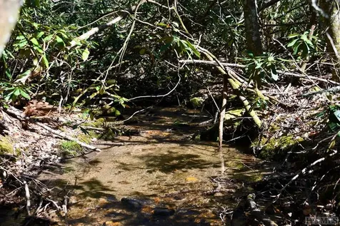 None Highland Gap Road Scaly Mountain NC 28775