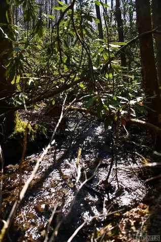 None Highland Gap Road Scaly Mountain NC 28775