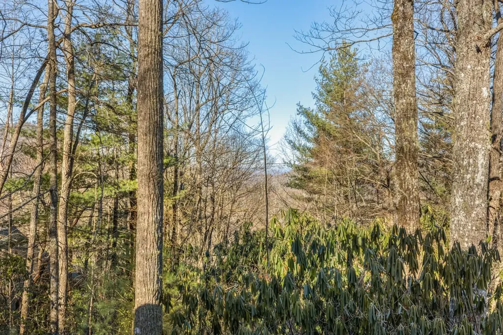 795 Buck Falls Road Highlands NC 28741