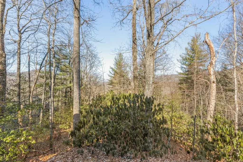 795 Buck Falls Road Highlands NC 28741