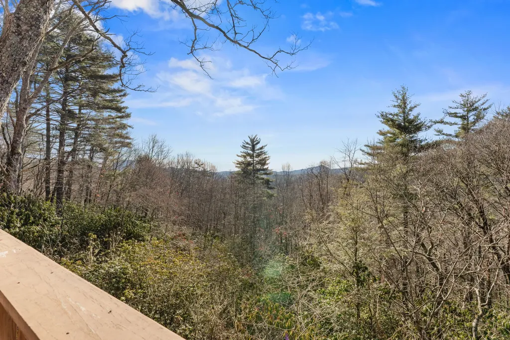 290 Blue Ridge Lane Cashiers NC 28717