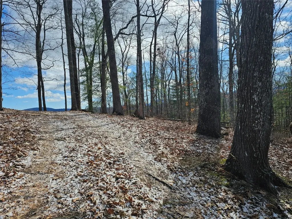 752 Shepherds Gap Road Cullowhee NC 28723