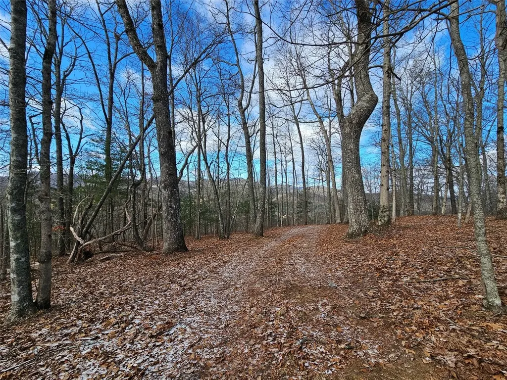 752 Shepherds Gap Road Cullowhee NC 28723