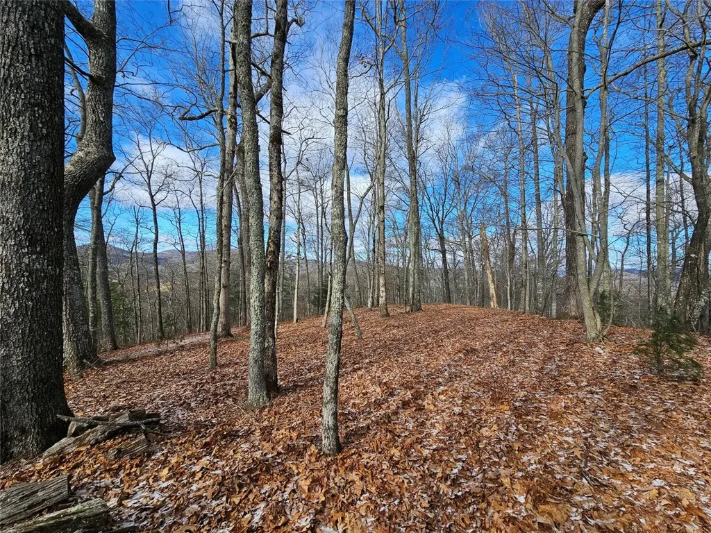 752 Shepherds Gap Road Cullowhee NC 28723