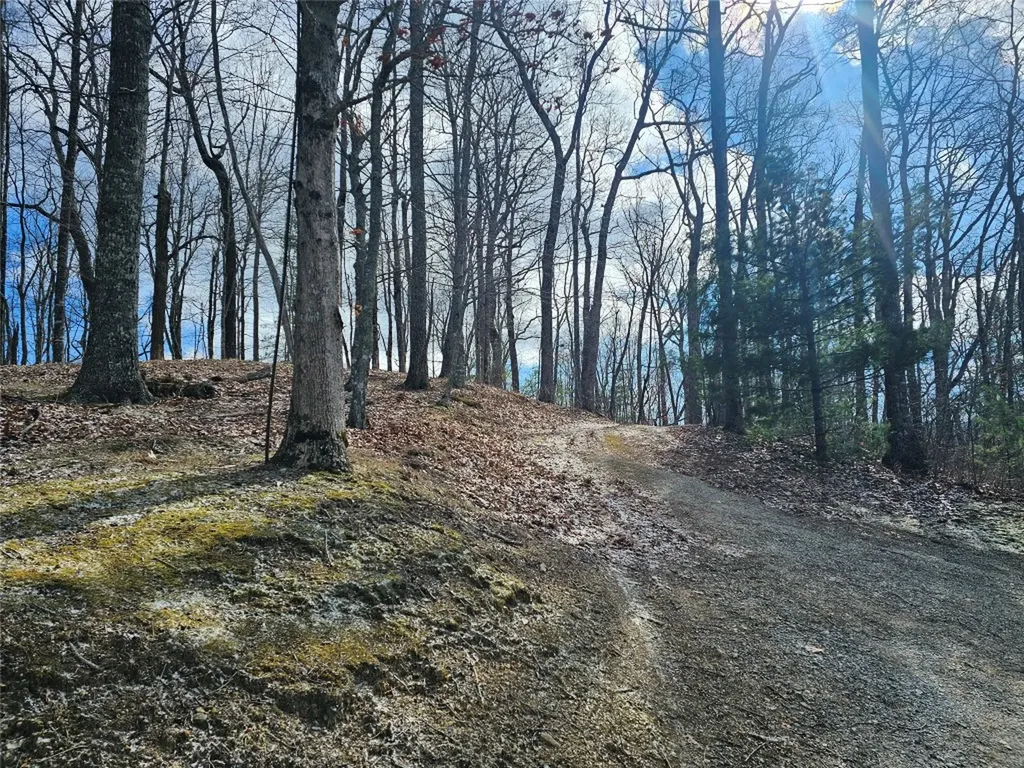 752 Shepherds Gap Road Cullowhee NC 28723