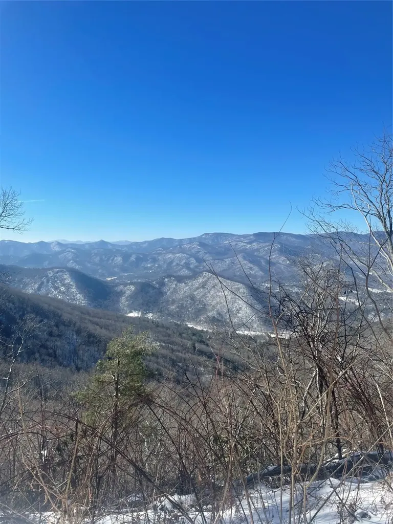 Tbd Buck Knob Road Scaly Mountain NC 28775