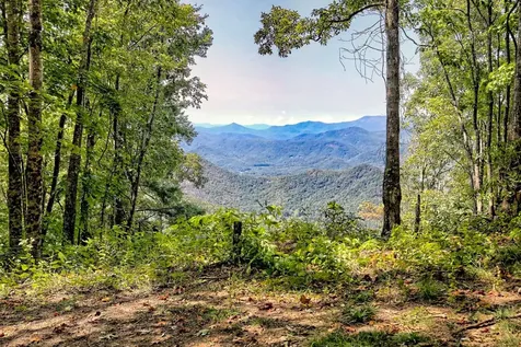 Tbd Buck Knob Road Scaly Mountain NC 28775