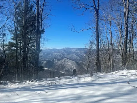 Tbd Buck Knob Road Scaly Mountain NC 28775