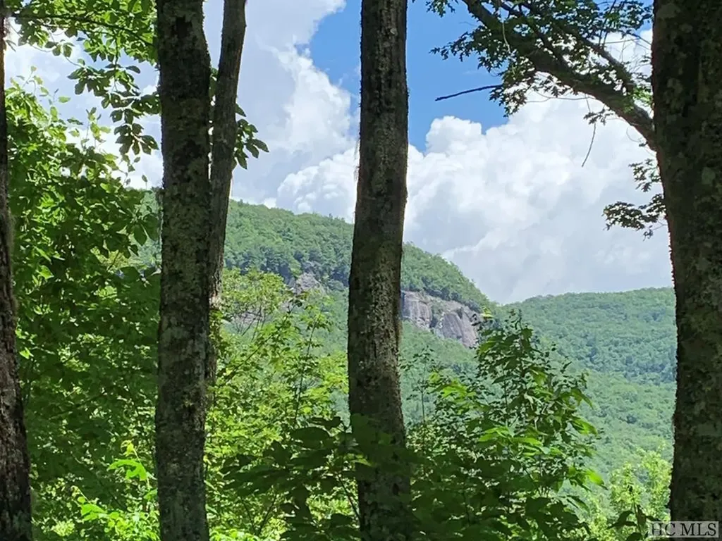 Lot 2 Panthertown Road Lake Toxaway NC 28747