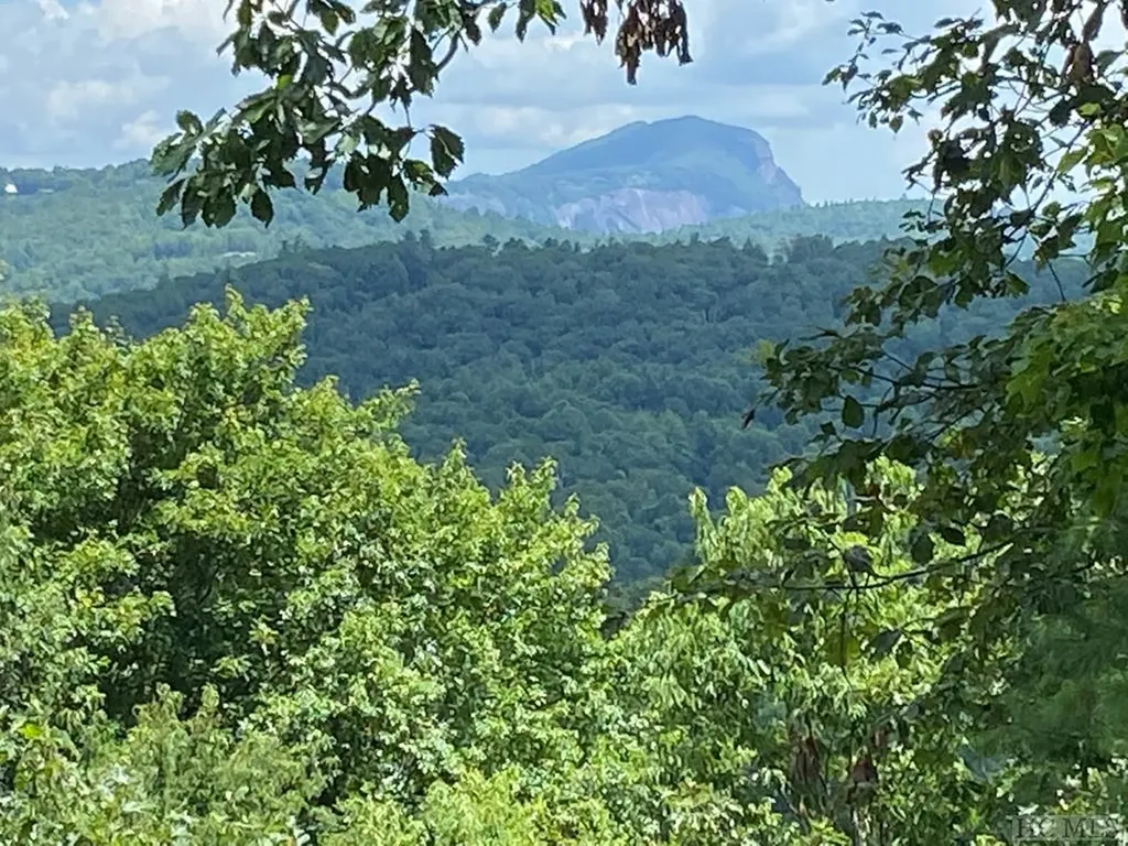 0 Lower Brushy Brushy Face Road Highlands NC 28741