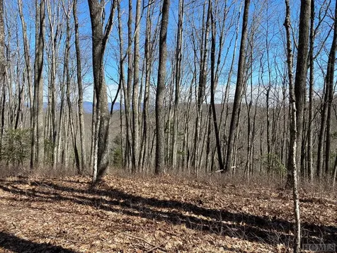 Lot 37 New Settler's Way Glenville NC 28736