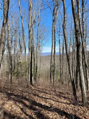 Lot 37 New Settler's Way Glenville NC 28736