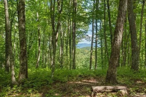 Lot 37 New Settler's Way Glenville NC 28736