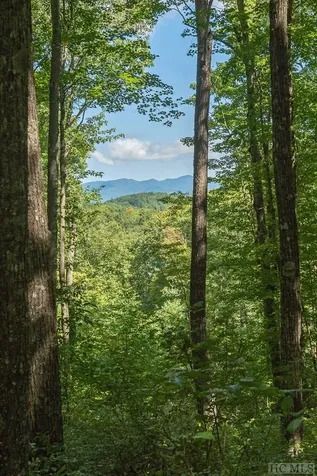 Lot 37 New Settler's Way Glenville NC 28736