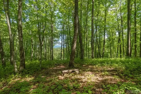 Lot 37 New Settler's Way Glenville NC 28736