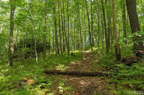 Lot 37 New Settler's Way Glenville NC 28736