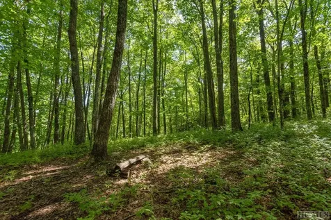 Lot 37 New Settler's Way Glenville NC 28736