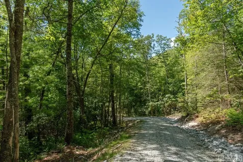 Lot V1 E Ridge Road Cashiers NC 28717