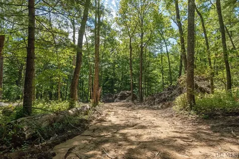Lot V1 E Ridge Road Cashiers NC 28717