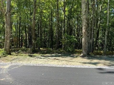 Lot C41 Roaming Road Glenville NC 28736