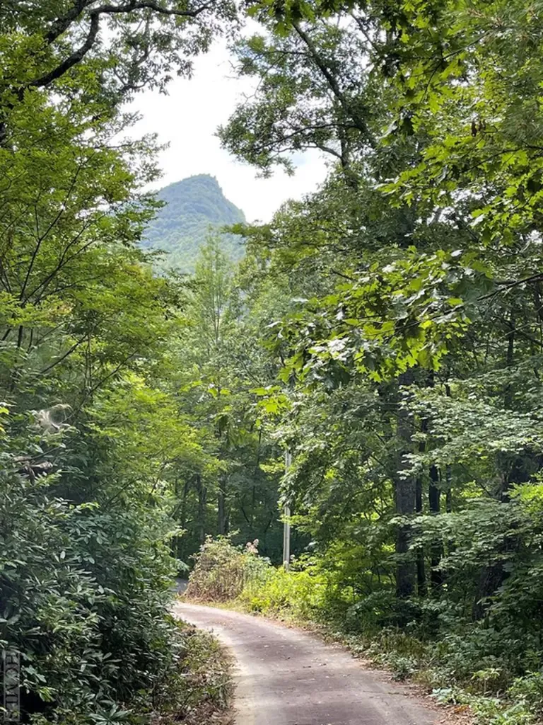 Lot 13 Golf View Road Sapphire NC 28774