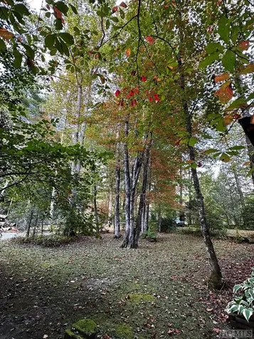 169 Weigela Lane Sapphire NC 28774