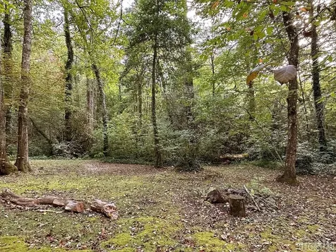 169 Weigela Lane Sapphire NC 28774