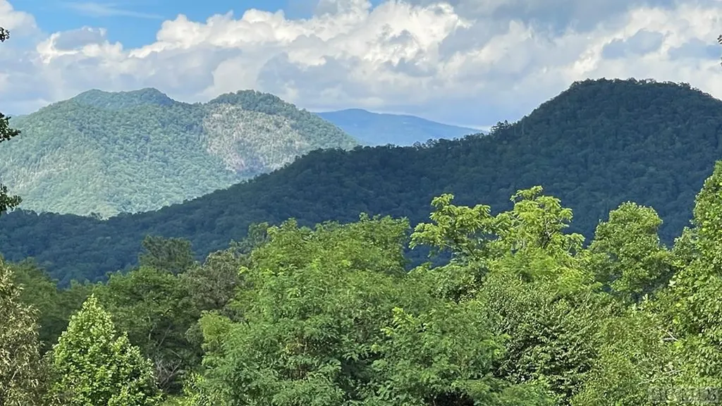 Trct 2&3 Moody Bridge Road Cullowhee NC 28723